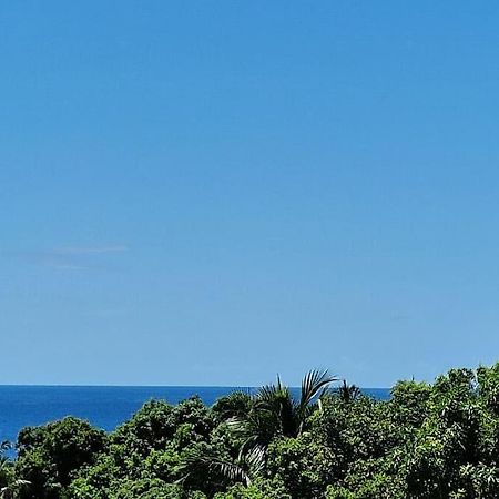 Joli T2 En Bas De Villa Vue Jardin Et Mer Vieux-Habitants Extérieur photo